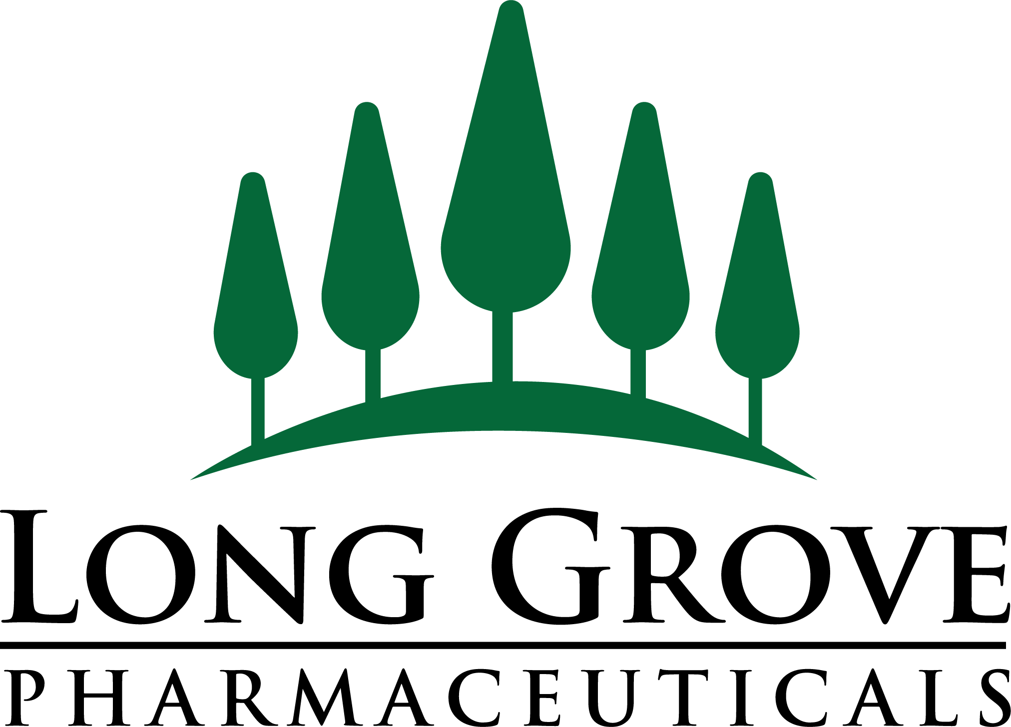 Capstone Development Services